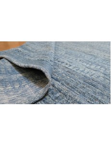 AM12055